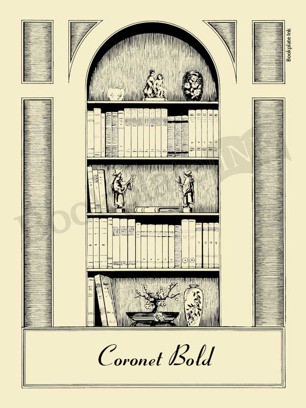 A102 - Bookshelf design bookplate by Owen Wise - Image 3