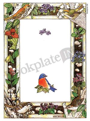 BP037 - Birds and flowers border bookplate