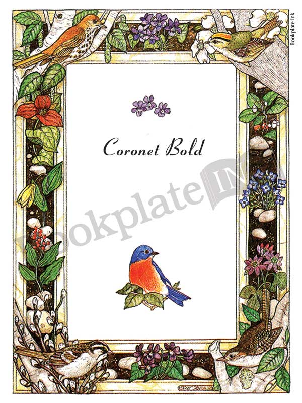 BP037 - Birds and flowers border bookplate - Image 3