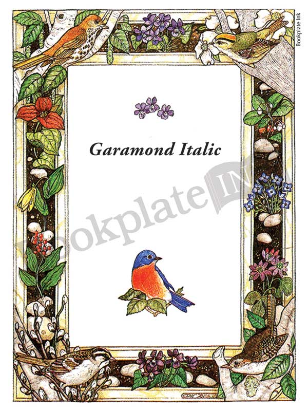 BP037 - Birds and flowers border bookplate - Image 6