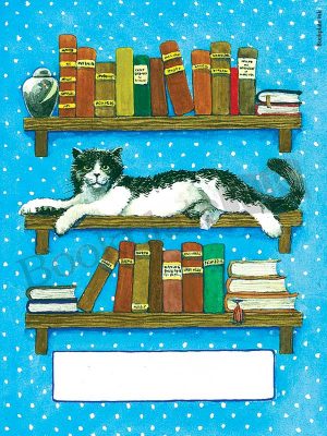 B190-Cat-laying-on-bookshelf-