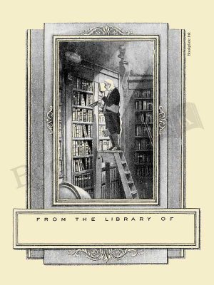 B208-Carl-Spitzweg-man-on-ladder