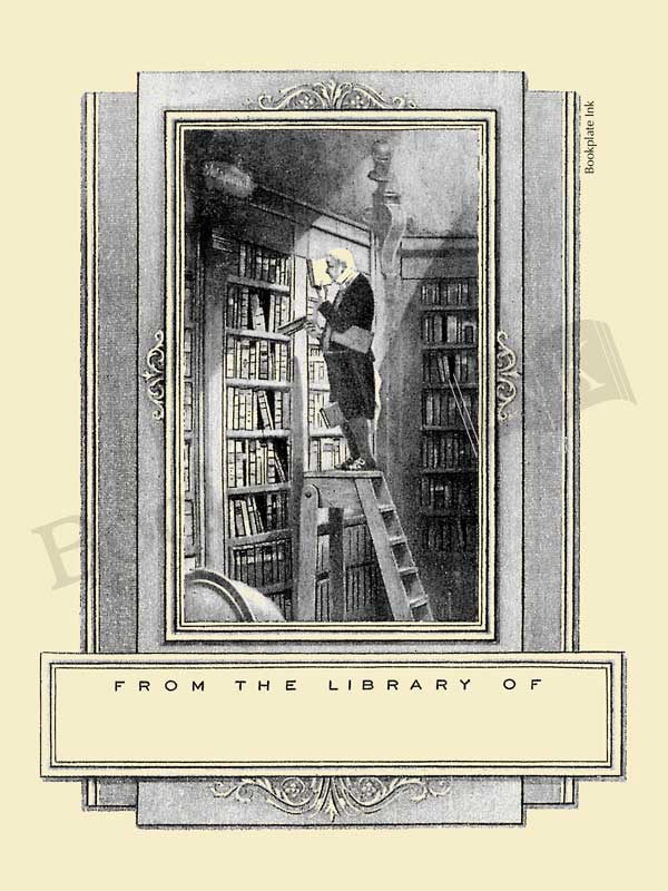 B208-Carl-Spitzweg-man-on-ladder