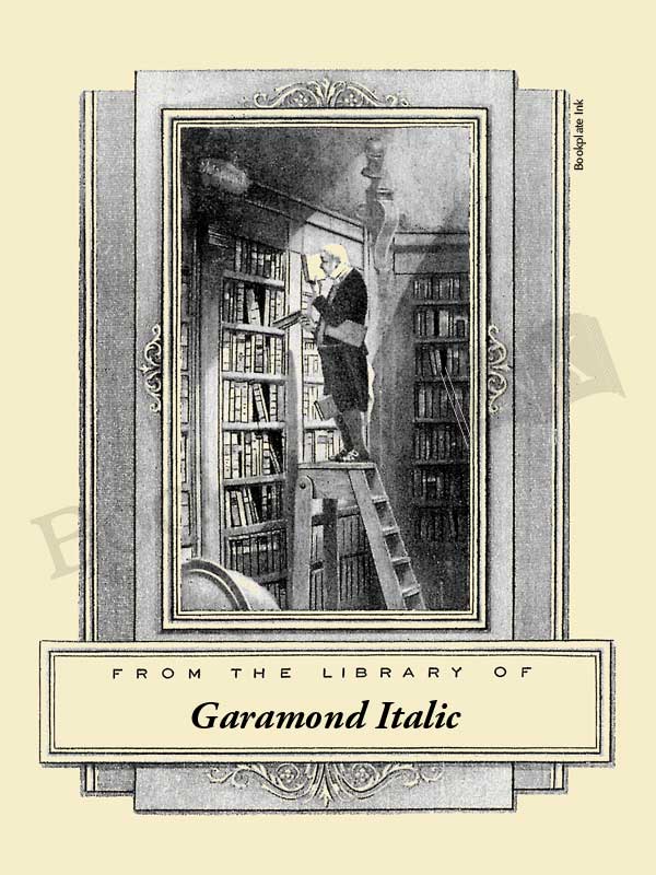 B208 - Carl Spitzweg man on ladder (The Bookworm) bookplate - Image 6