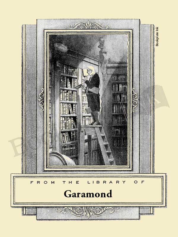 B208 - Carl Spitzweg man on ladder (The Bookworm) bookplate - Image 5