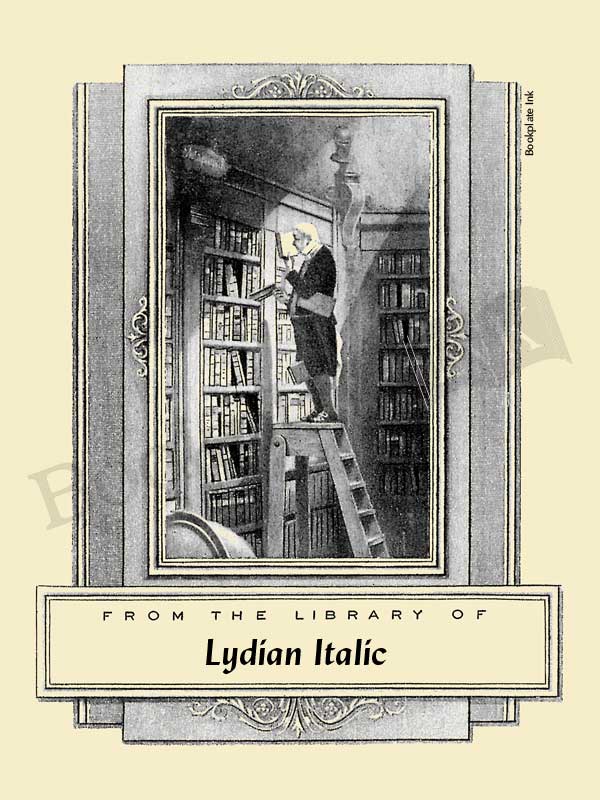 B208 - Carl Spitzweg man on ladder (The Bookworm) bookplate - Image 11