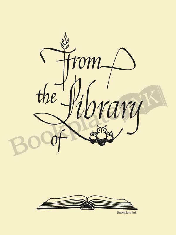 B213-Raymond-DaBoll-open-book-with-owls