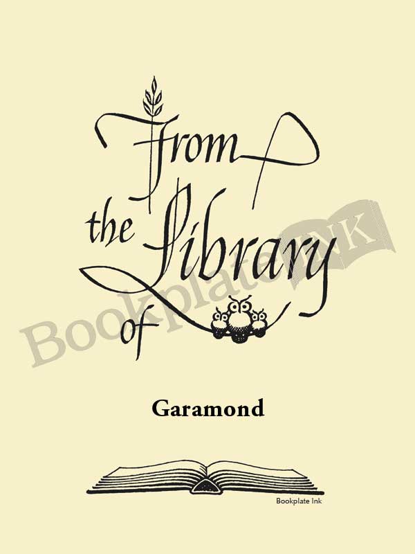 B213 - Three owls calligraphy design by Raymond DaBoll - Image 5