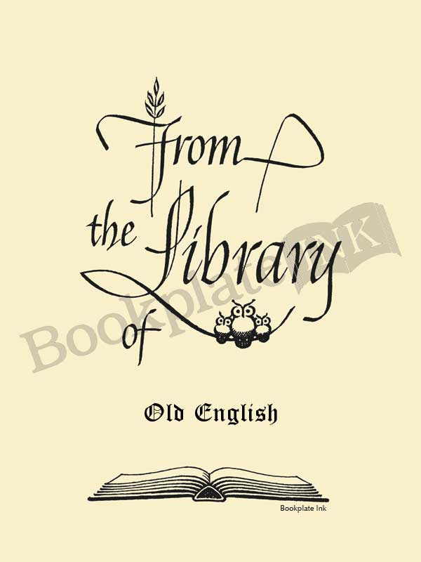 B213 - Three owls calligraphy design by Raymond DaBoll - Image 12