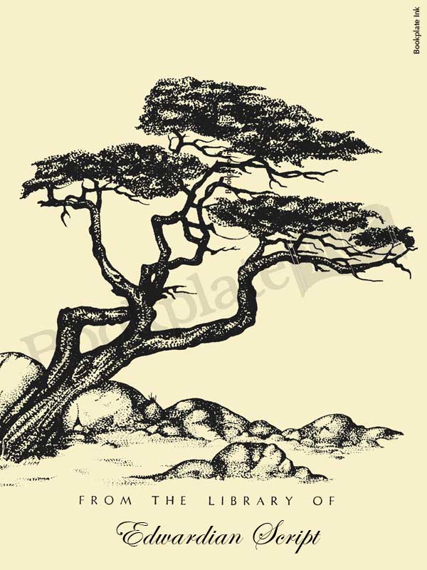 B61 - Windswept tree over rocks bookplate - Image 4