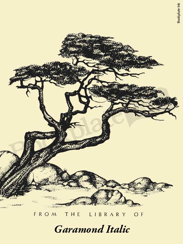 B61 - Windswept tree over rocks bookplate - Image 6