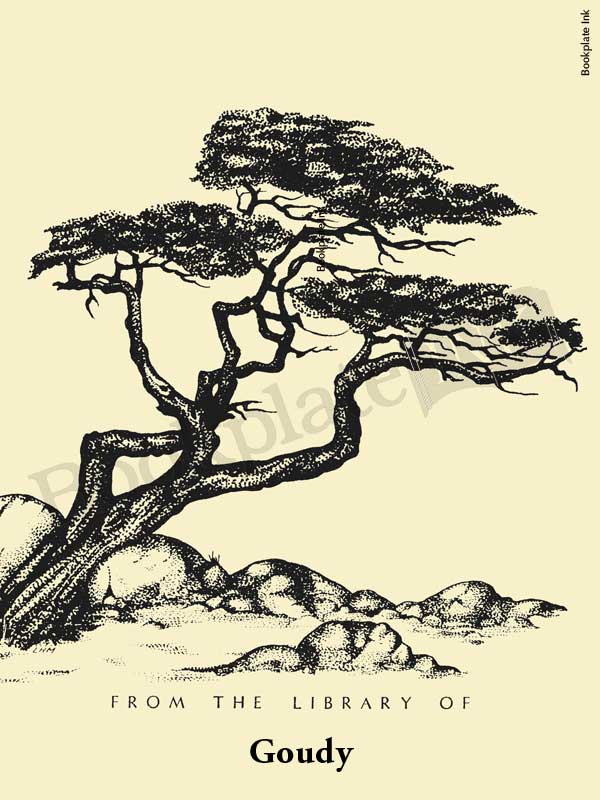 B61 - Windswept tree over rocks bookplate - Image 7