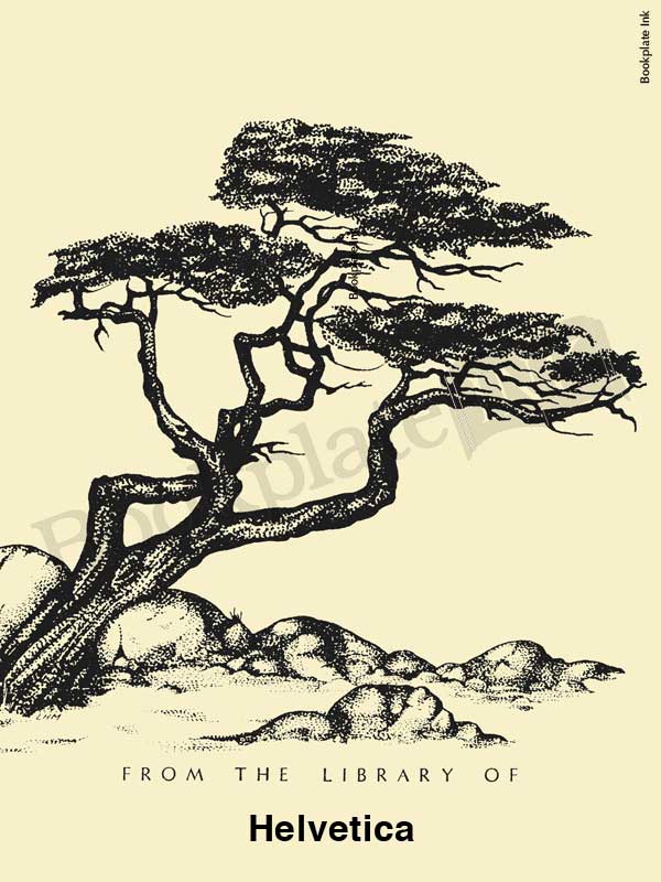 B61 - Windswept tree over rocks bookplate - Image 9