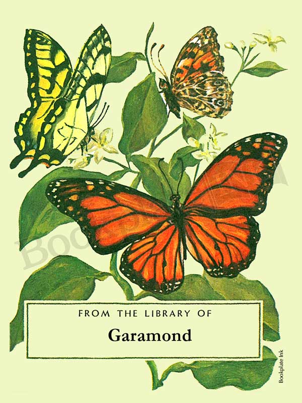 BP177 - Tom Till butterfly painting bookplate - Image 5