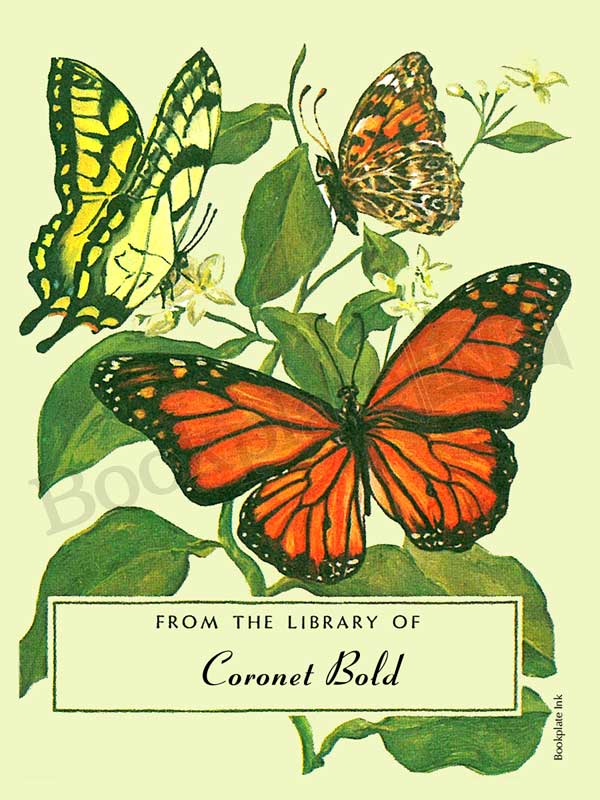 BP177-Tom-Till-butterfliesbookplate