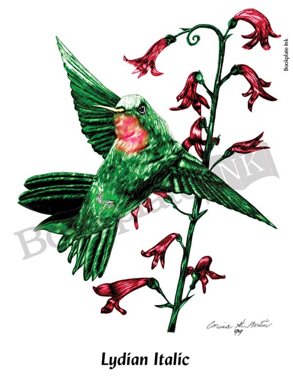 C105 - Hummingbird and flower bookplate - Image 11