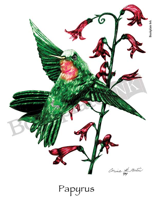 C105 - Hummingbird and flower bookplate - Image 15