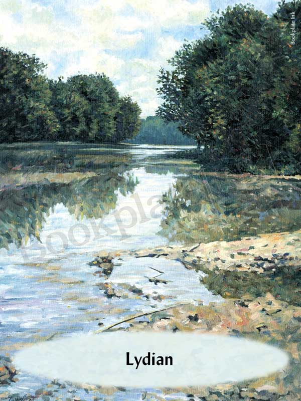 C107 - Peaceful river bookplate - Image 10