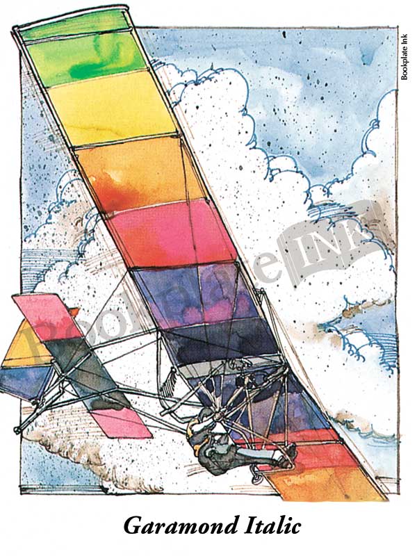 C112 - Aviation glider bookplate - Image 6