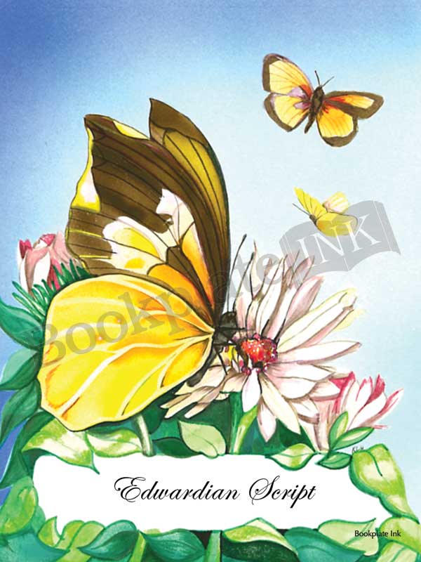 C201 - Butterflies and flower bookplate - Image 4