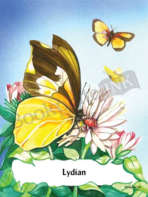 C201 - Butterflies and flower bookplate - Image 10