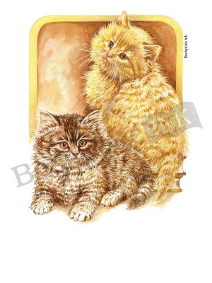 C209-kittens-bookplate
