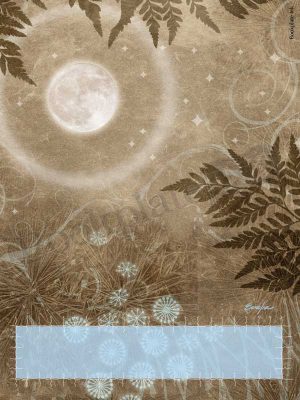 ES13-.moon-fairy-ring-bookplate_notext