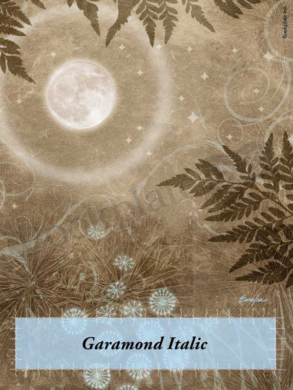 ES13 - Moon with fairy ring bookplate - Image 6