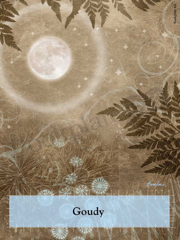 ES13 - Moon with fairy ring bookplate - Image 7