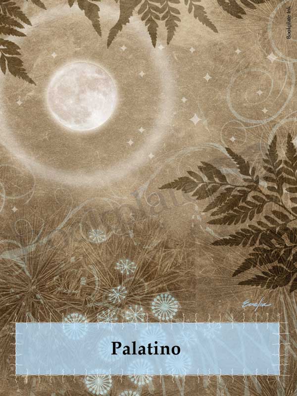 ES13 - Moon with fairy ring bookplate - Image 14