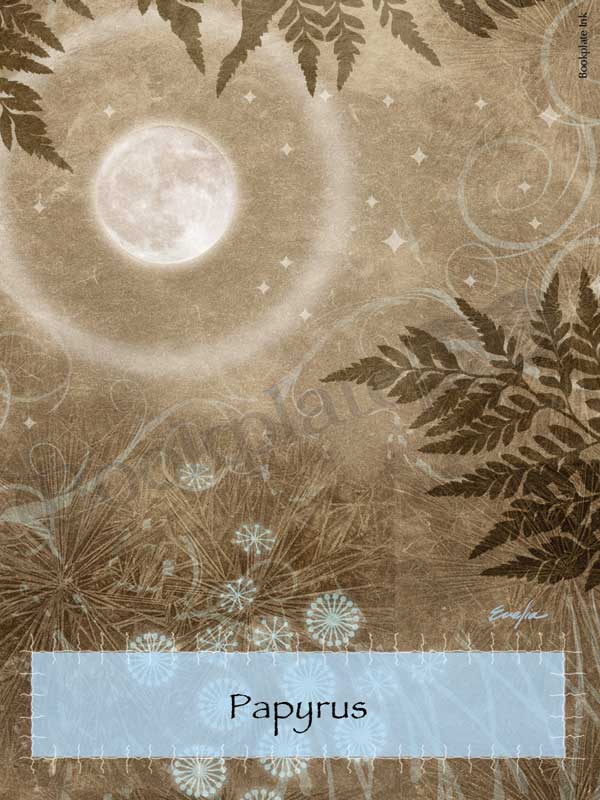 ES13 - Moon with fairy ring bookplate - Image 15