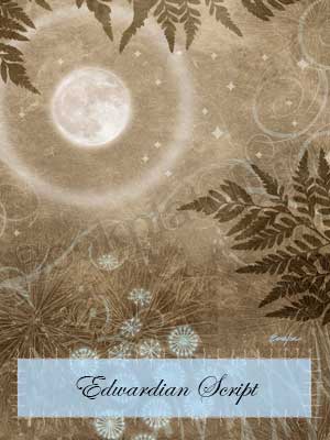 ES13 - Moon with fairy ring bookplate - Image 4