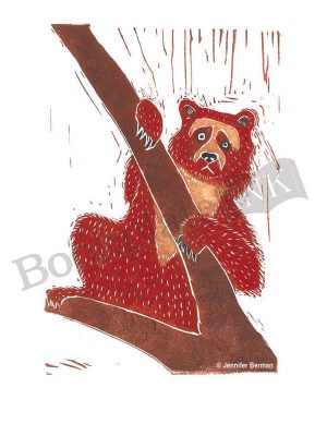 JB03 - Ucumari (spectacled bear) bookplate