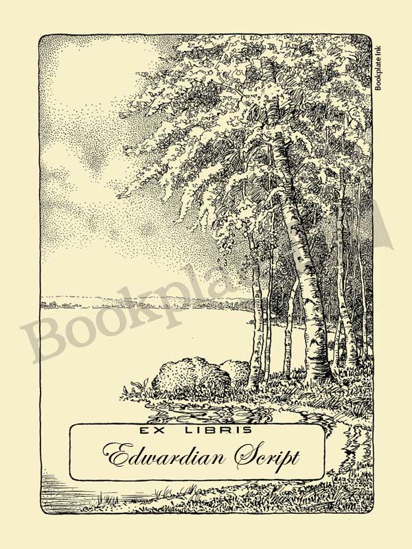 M767 - Trees by the water bookplate - Image 4