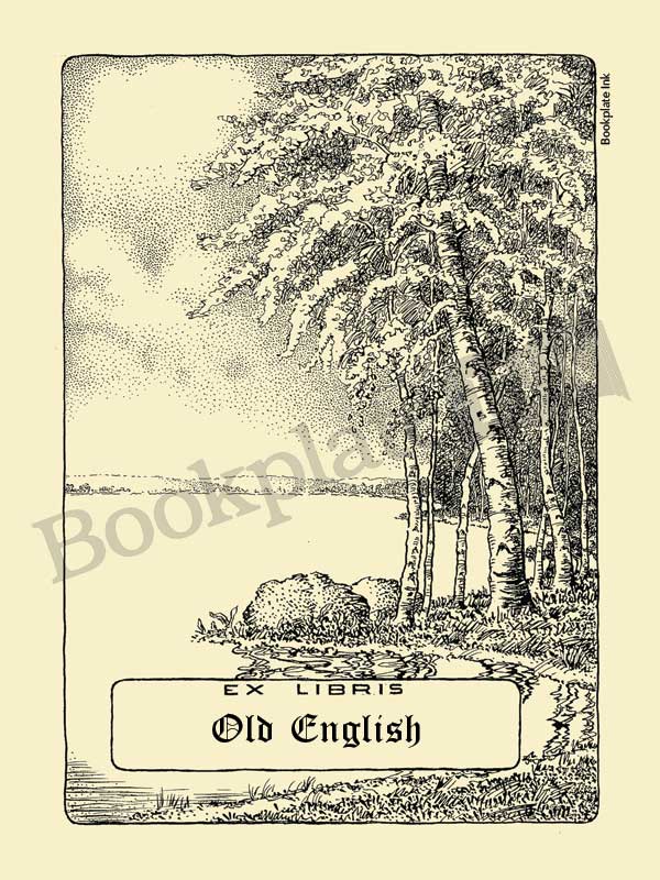 M767 - Trees by the water bookplate - Image 12