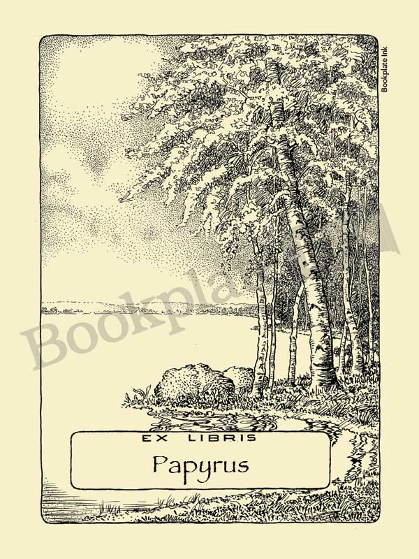 M767 - Trees by the water bookplate - Image 15