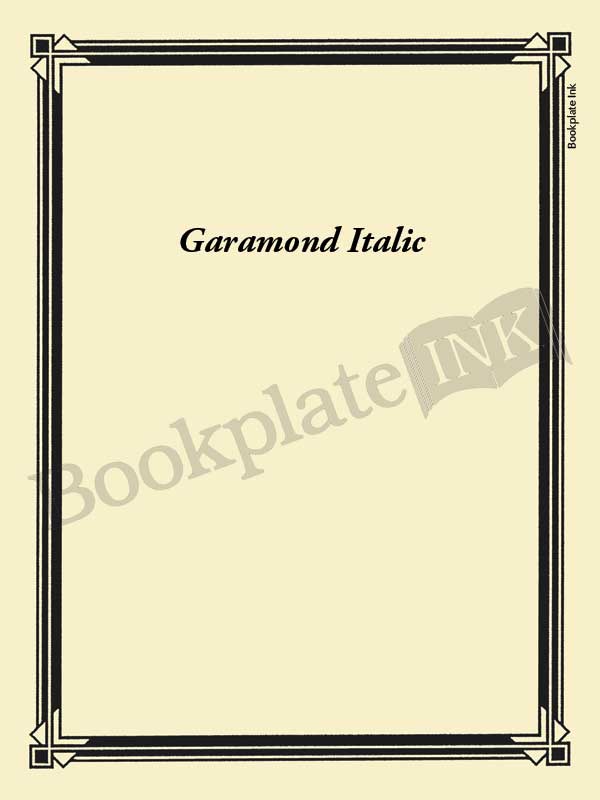 N100 - Art deco border bookplate - Image 5
