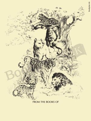 N101-Wild-cats-bookplate
