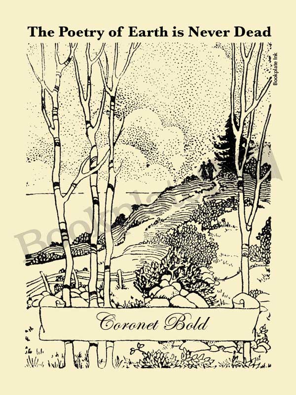 P101 - Couple strolling on path bookplate - Image 3