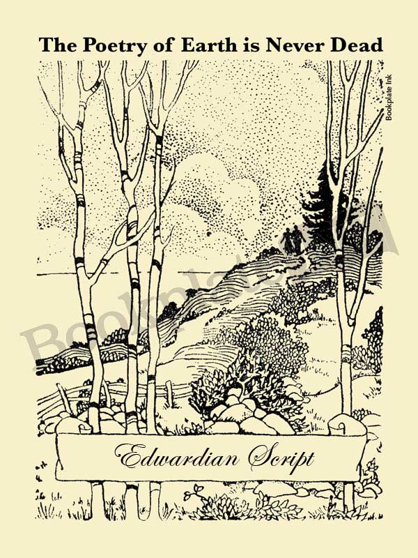 P101 - Couple strolling on path bookplate - Image 4