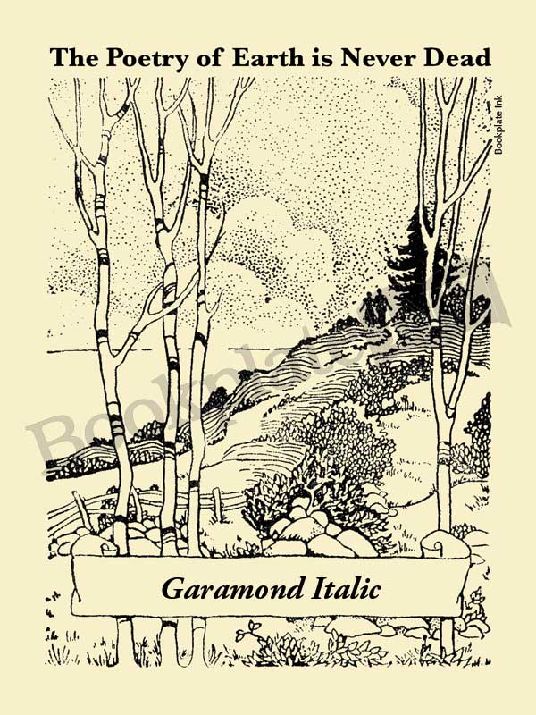 P101 - Couple strolling on path bookplate - Image 5