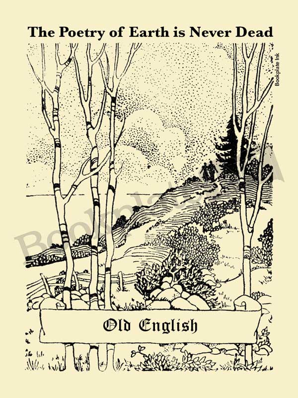 P101 - Couple strolling on path bookplate - Image 12