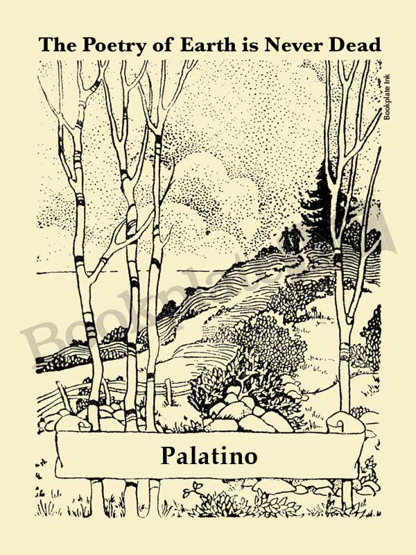 P101 - Couple strolling on path bookplate - Image 14