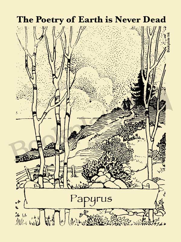 P101 - Couple strolling on path bookplate - Image 15