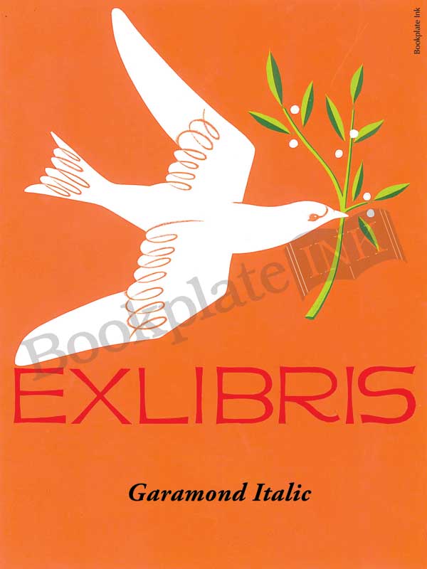 RV45 - Dove and Olive Branch - Image 6