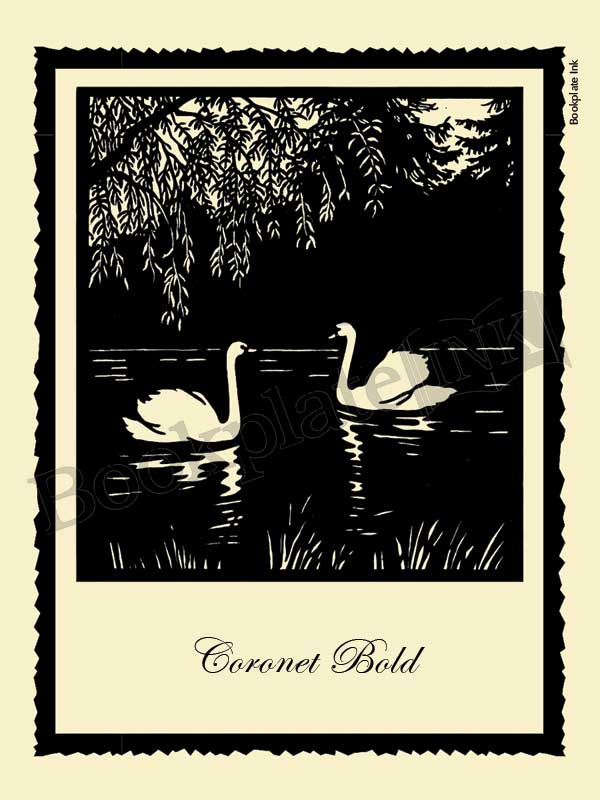 S200 - Scherenschnitte swan bookplate - Image 3