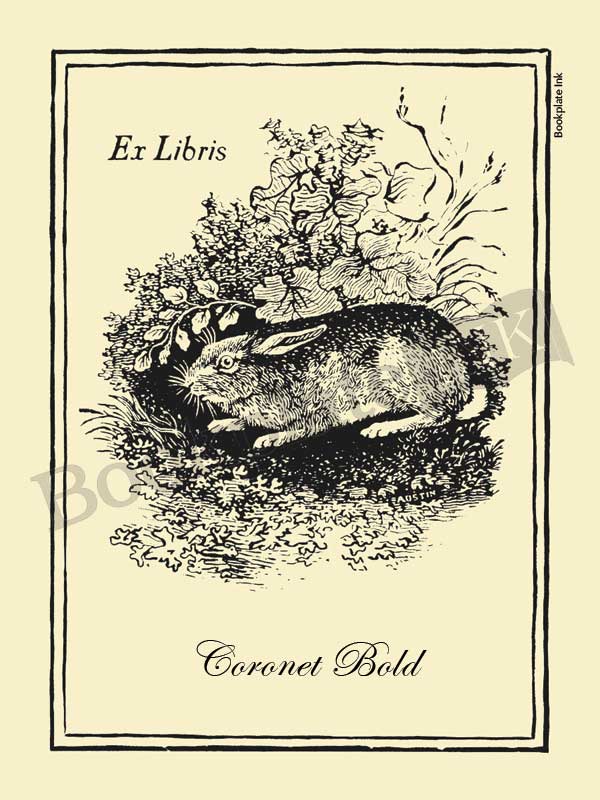 V1 - Thomas Bewick rabbit bookplate - Image 3