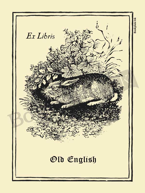 V1 - Thomas Bewick rabbit bookplate - Image 12