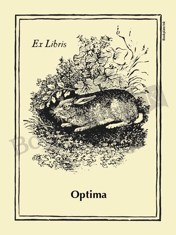 V1 - Thomas Bewick rabbit bookplate - Image 13