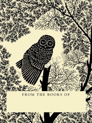 W33-Scherenschnitte-owl-bookplate-